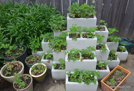 planters-with-cement-blocks-23 | How to organize
