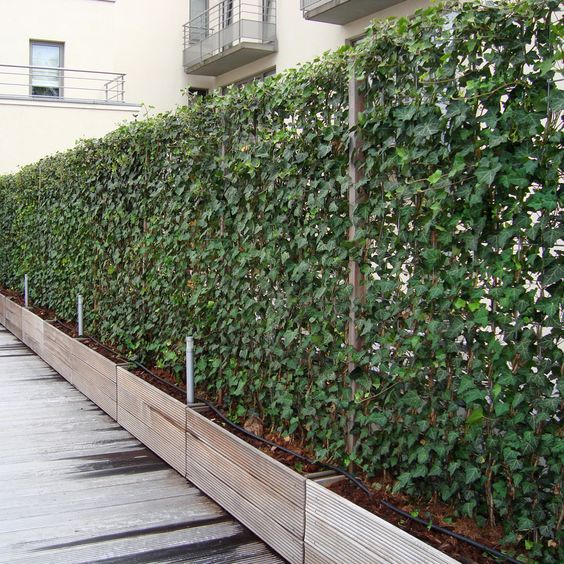 25 fence designs to delineate your terrain with style