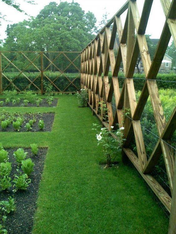 Ideas de cercas para tu jardín