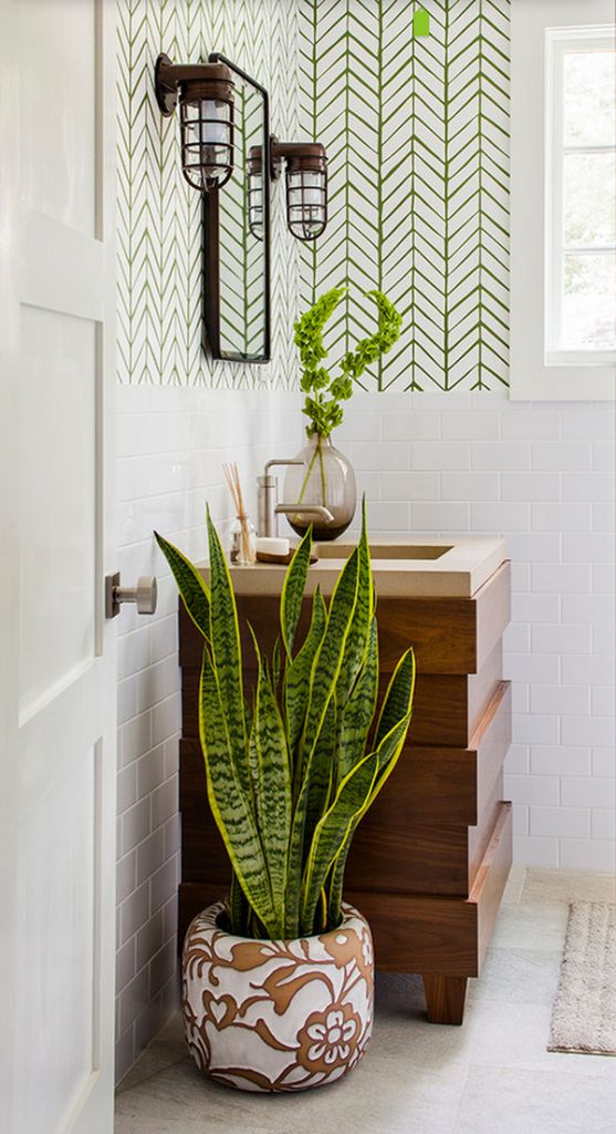 30 ideas para decorar tu baño con plantas