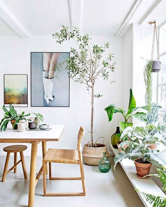 Ideas para decorar un comedor con plantas