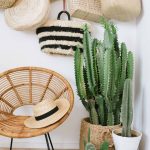 Ideas para decorar interiores con cactus