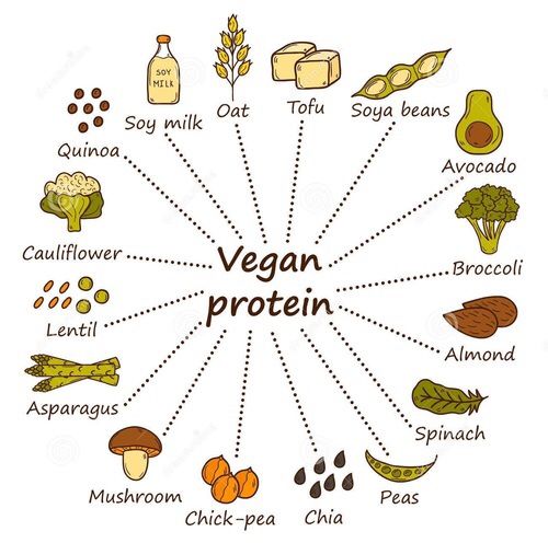 como se hace la comida vegetariana (3)