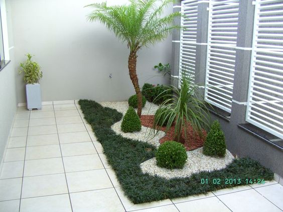 jardines para frentes de casas pequeñas con palmeras
