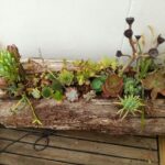 Ideas de jardines miniatura en troncos