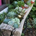 Ideas de jardines miniatura en troncos