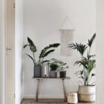 Ideas para decorar el pasillo de tu casa