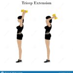 Extensiones de tríceps