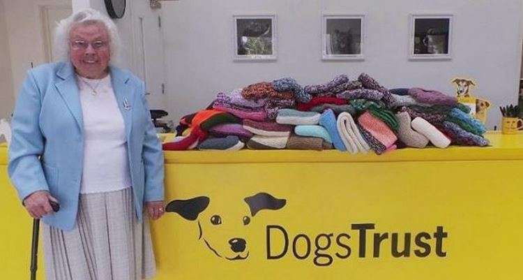 Esta mujer de 89 años tejió 450 mantas y suéteres para perros de refugio